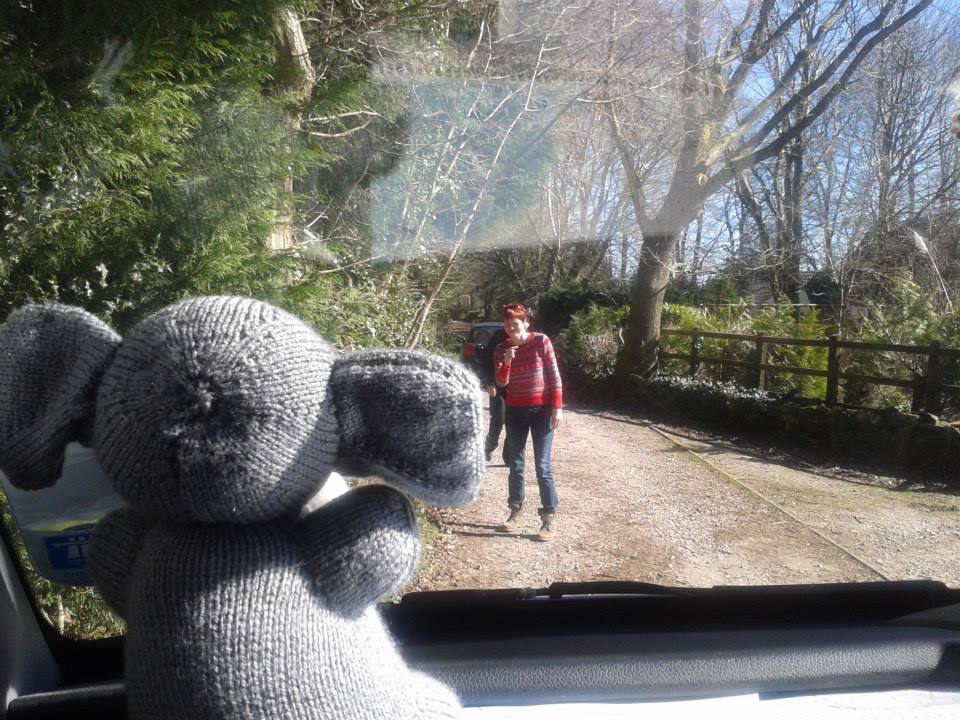 In Praise of Elephants